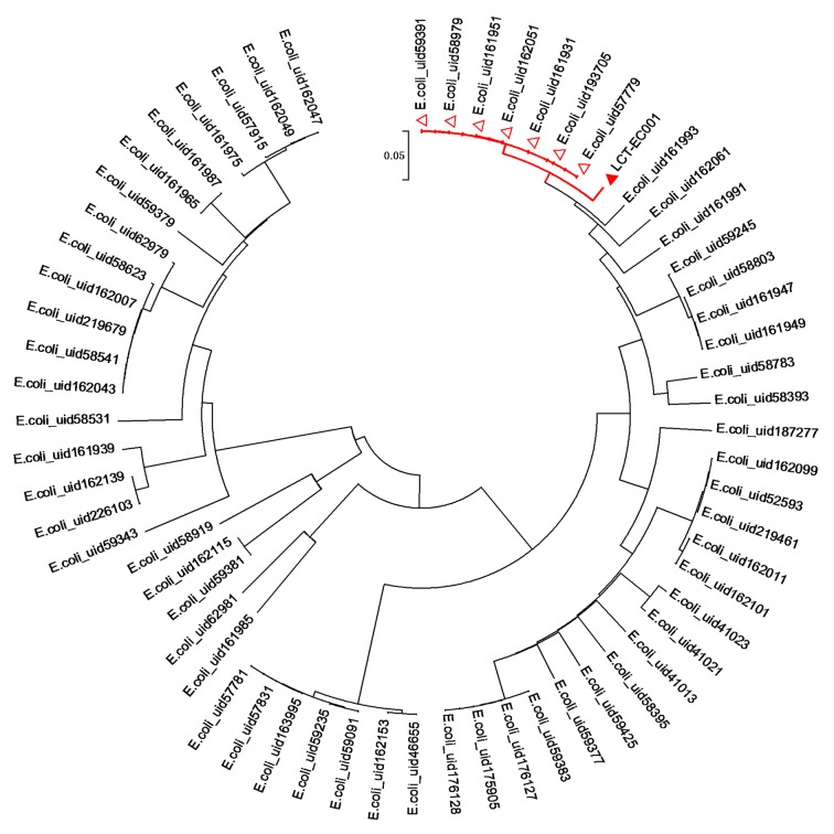 Fig. 2