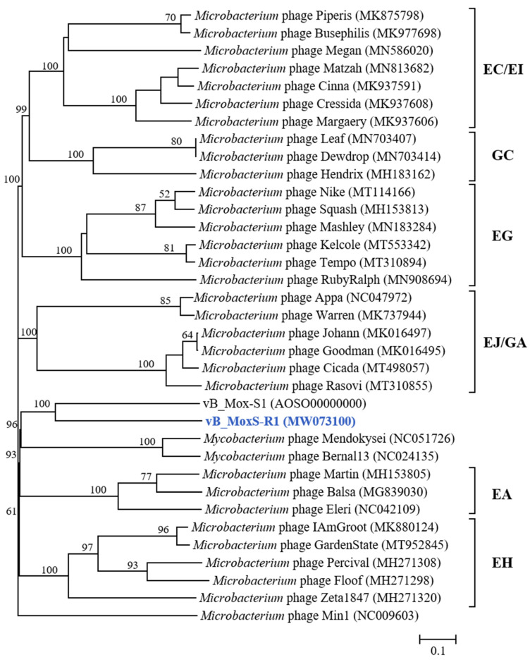 Figure 6