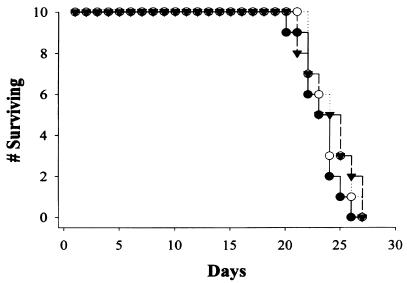 FIG. 8.