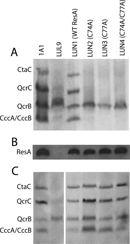 FIG. 3.