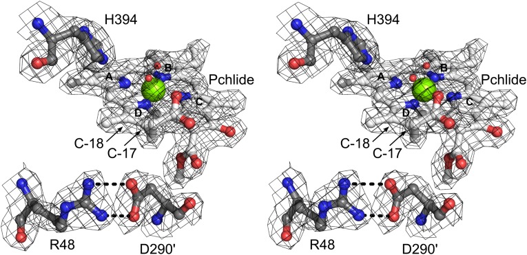 Fig. 4.