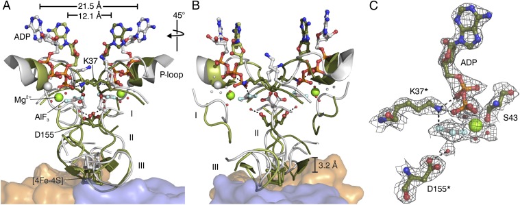 Fig. 2.