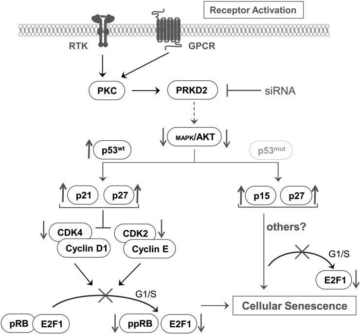 Fig. 6.