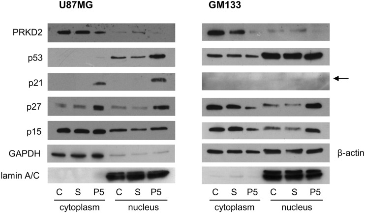 Fig. 4.