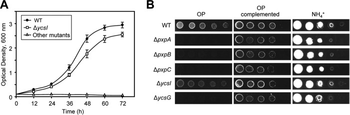 Figure 2.