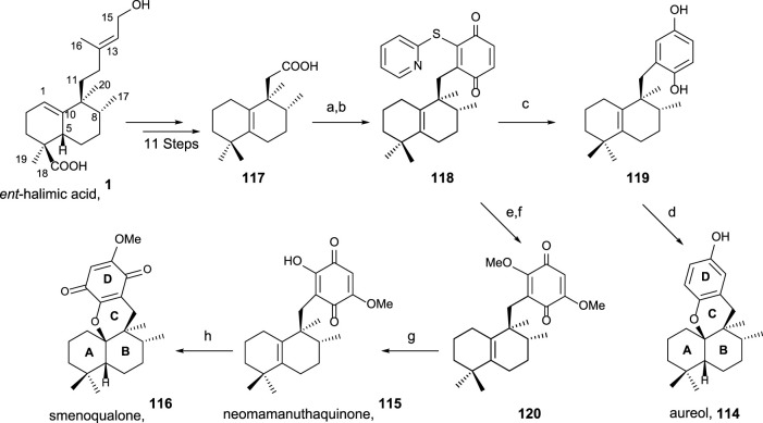 SCHEME 7