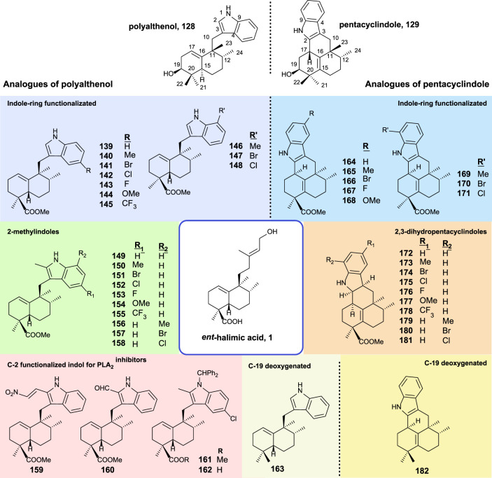 FIGURE 12