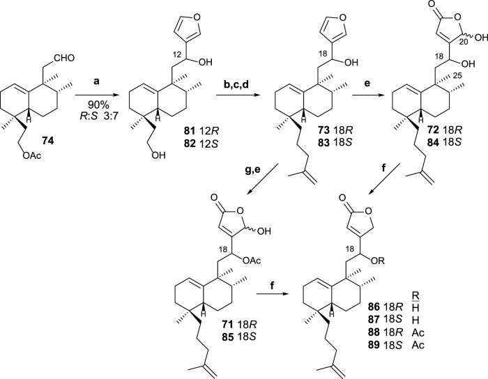 SCHEME 5