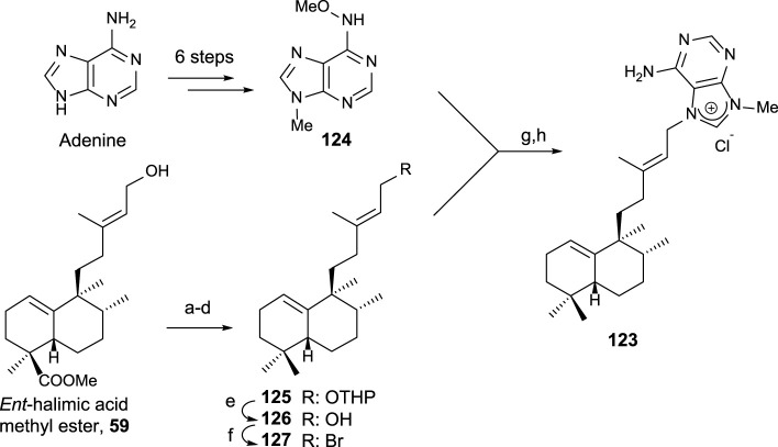 SCHEME 8