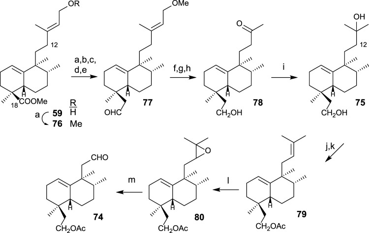 SCHEME 4