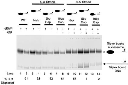 FIG. 5.