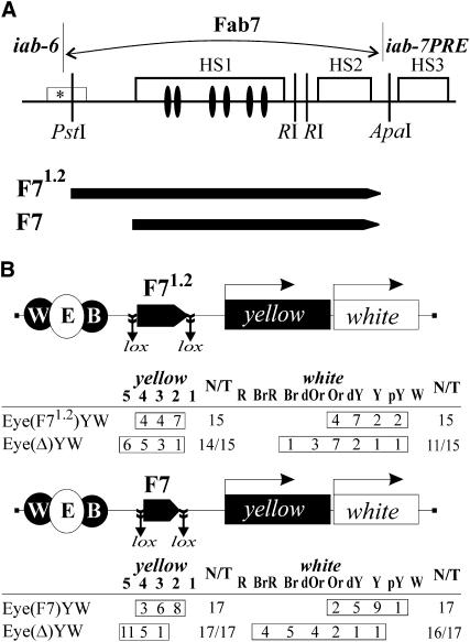 Figure 1.—