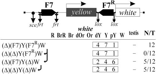 Figure 5.—