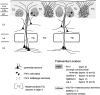 Fig. 12.
