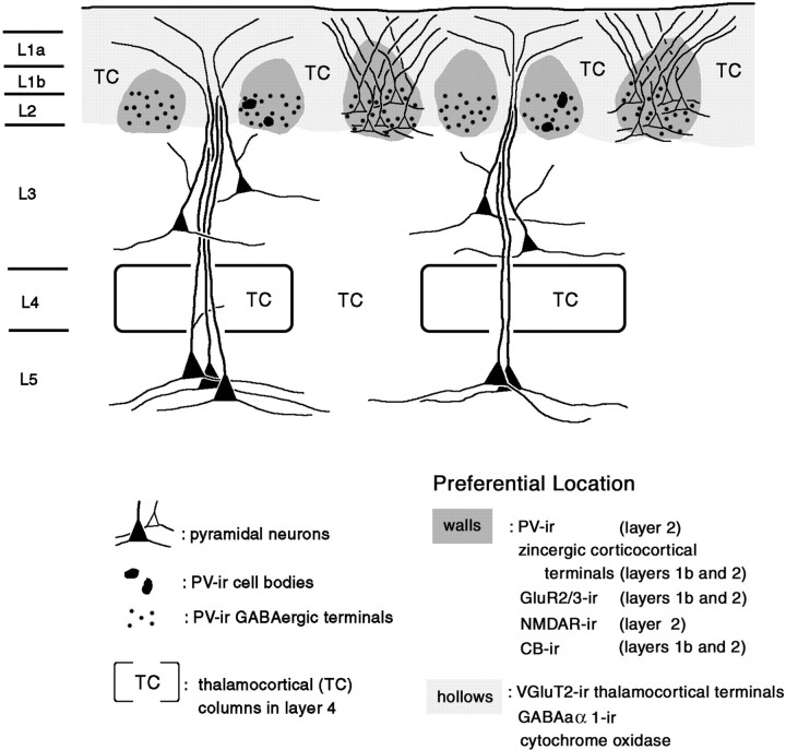 Fig. 12.