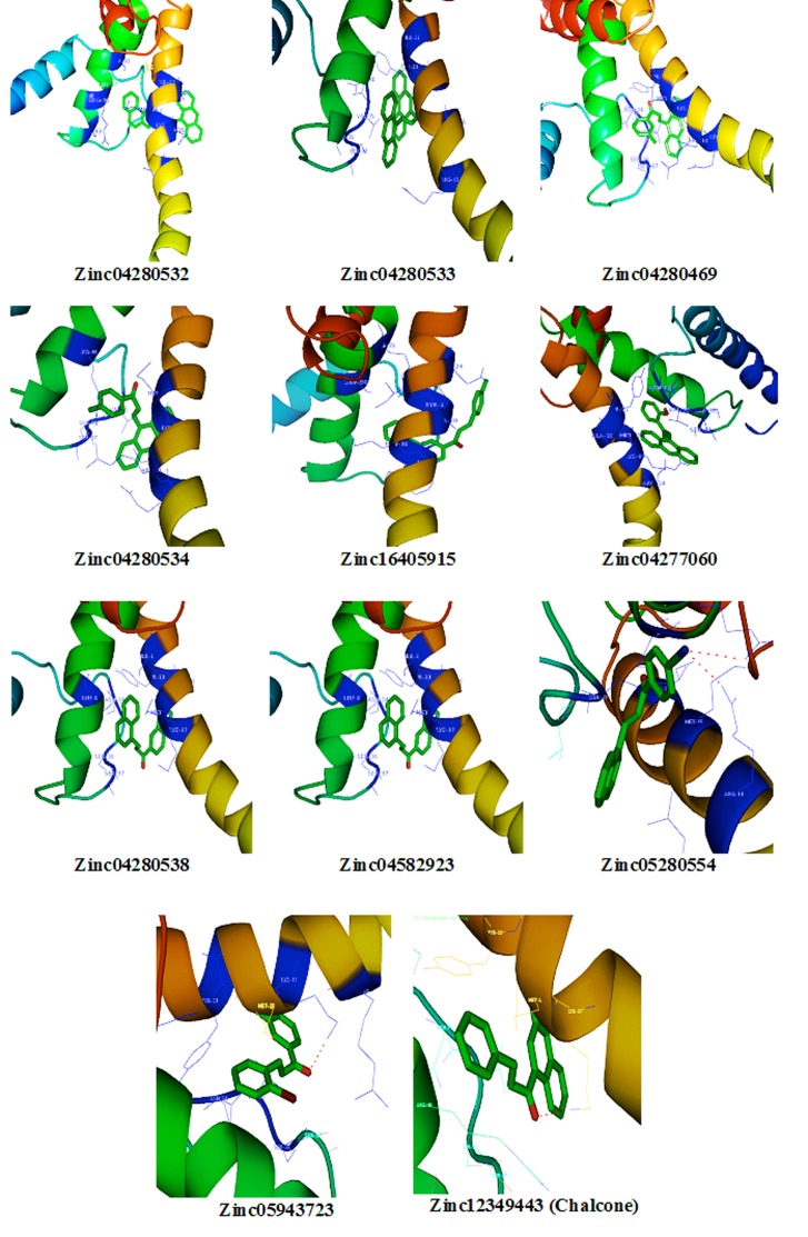 Figure 2