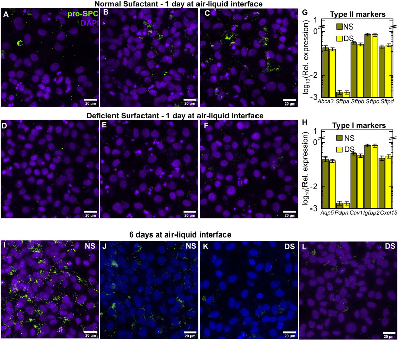 Figure 1—figure supplement 2.