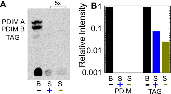 Figure 5—figure supplement 2.