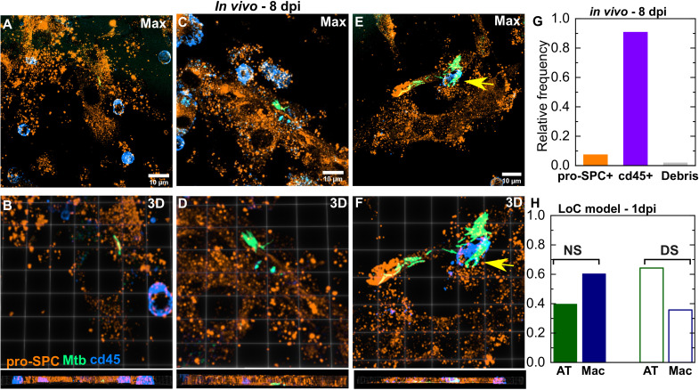 Figure 1—figure supplement 3.