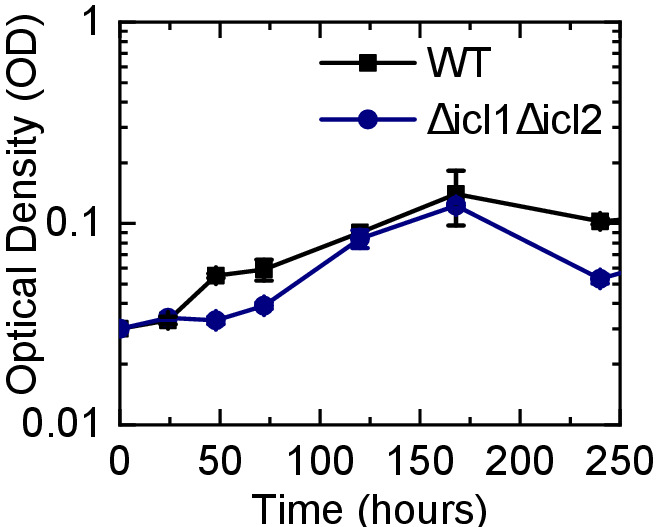 Figure 2—figure supplement 3.