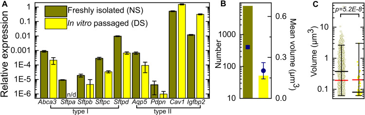 Figure 1—figure supplement 1.