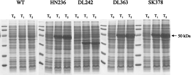 FIG. 4.