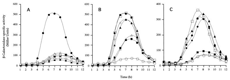 FIG. 2.