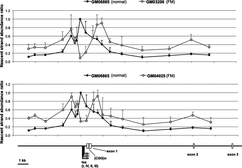 Figure 5.