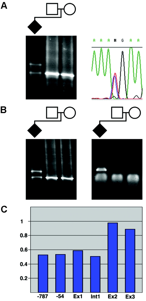 Figure  2