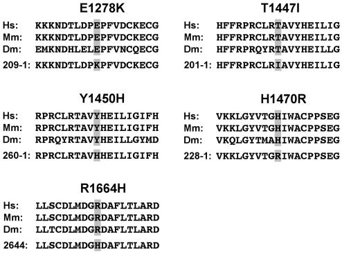 Figure  1