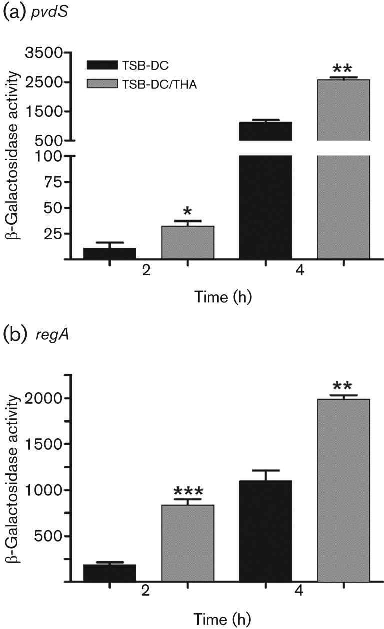 Fig. 8. 