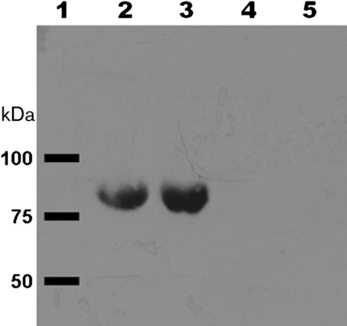 Fig. 10. 