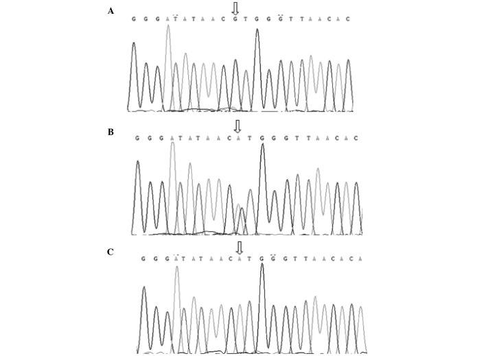 Figure 2.