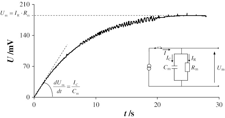 Fig. 1