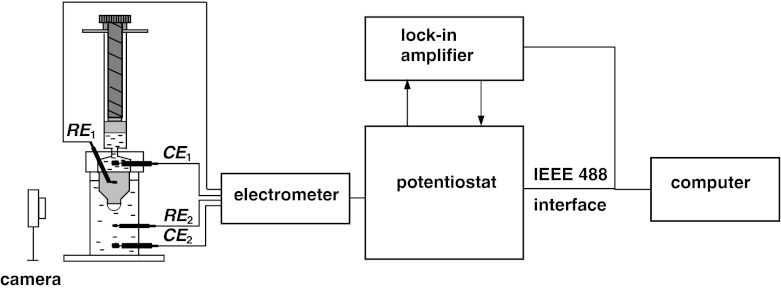 Fig. 3