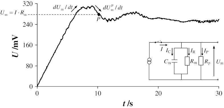 Fig. 2