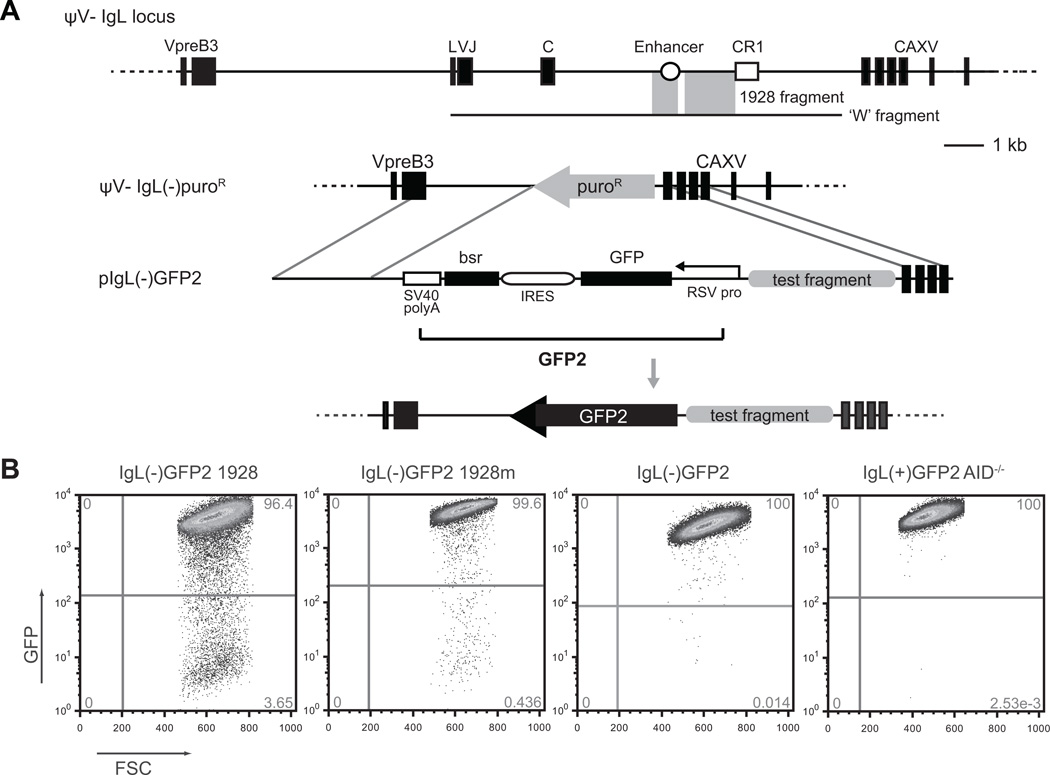 Figure 1