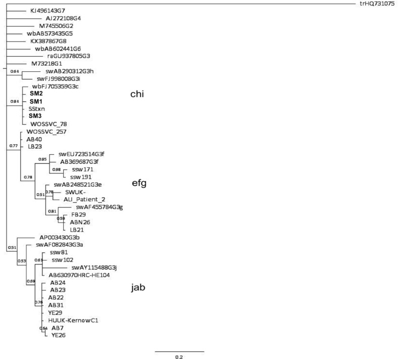 Fig. 1