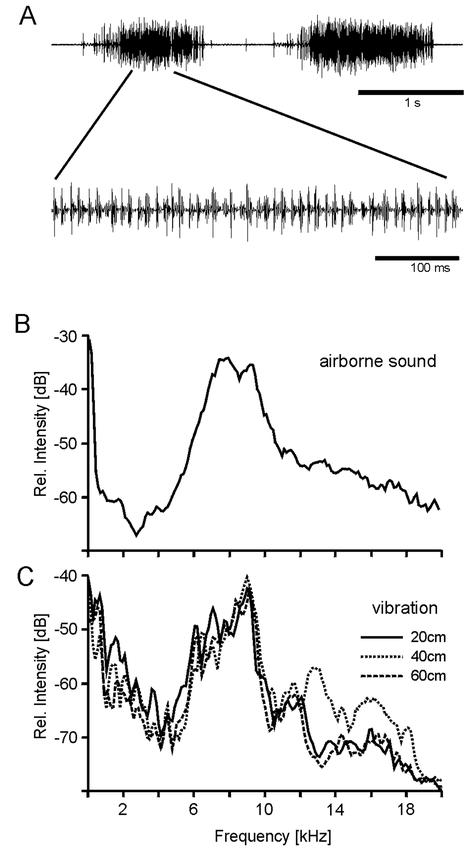 Figure 2. A