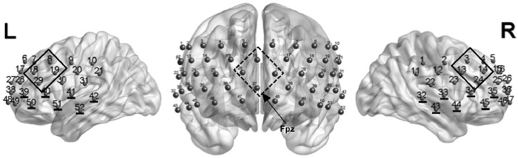 Fig. 2