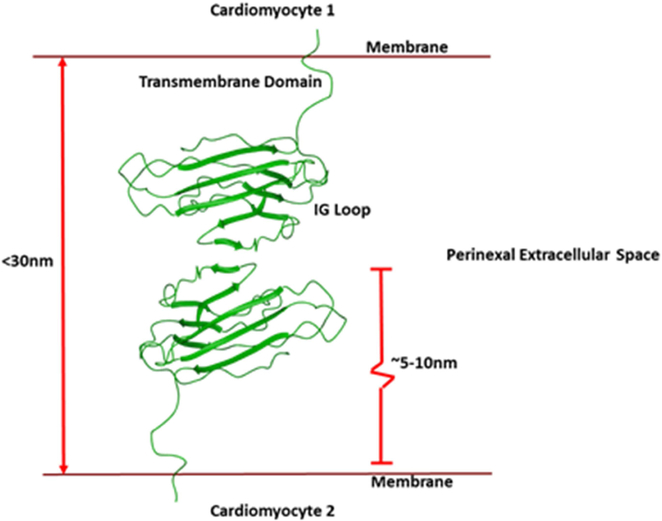 Figure 3: