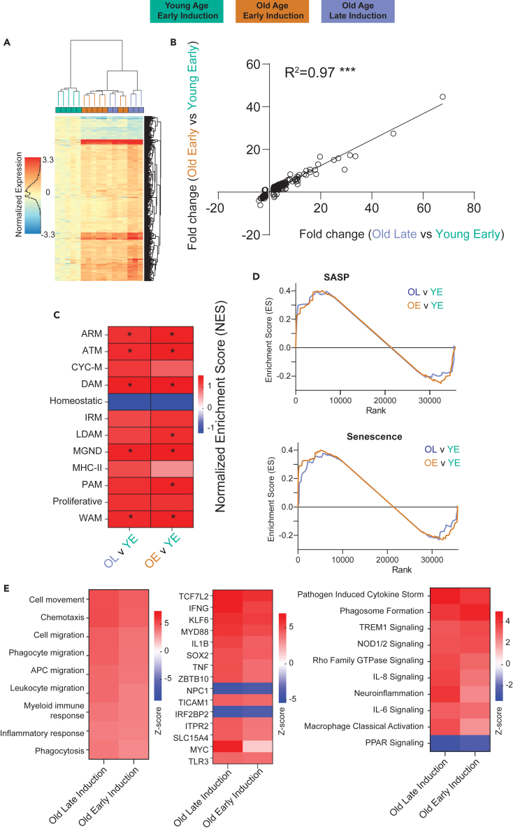 Figure 4