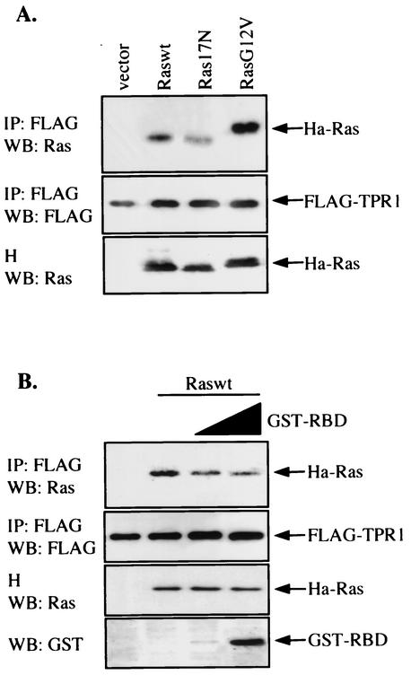 FIG. 7.