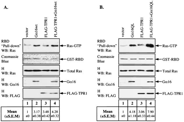 FIG. 8.