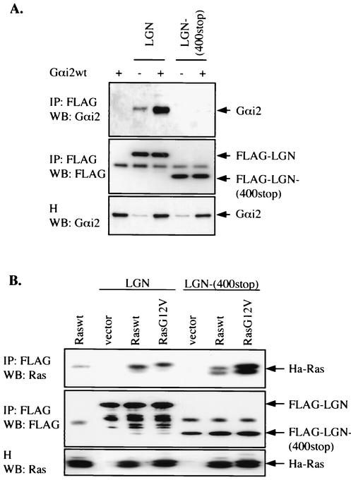 FIG. 9.