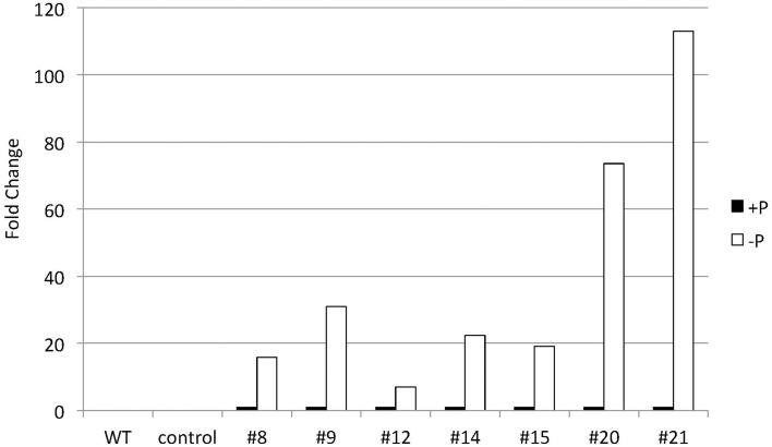 Figure 6