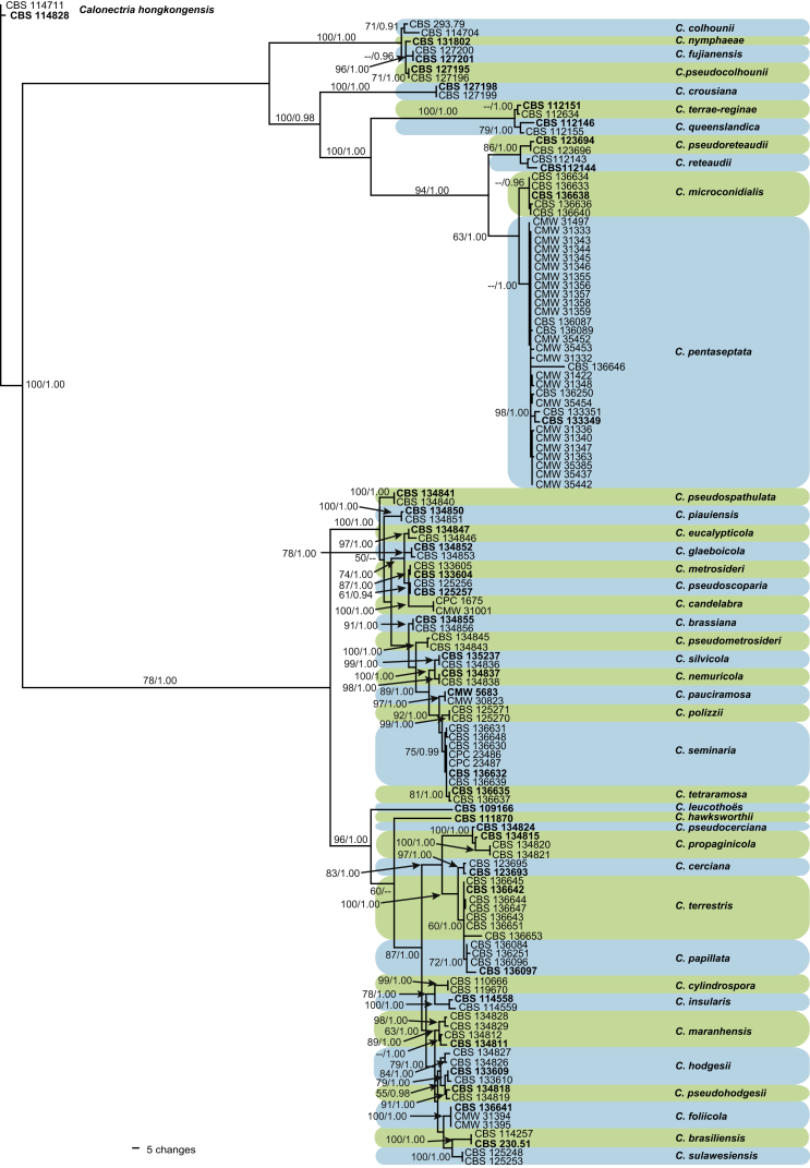 Fig. 1