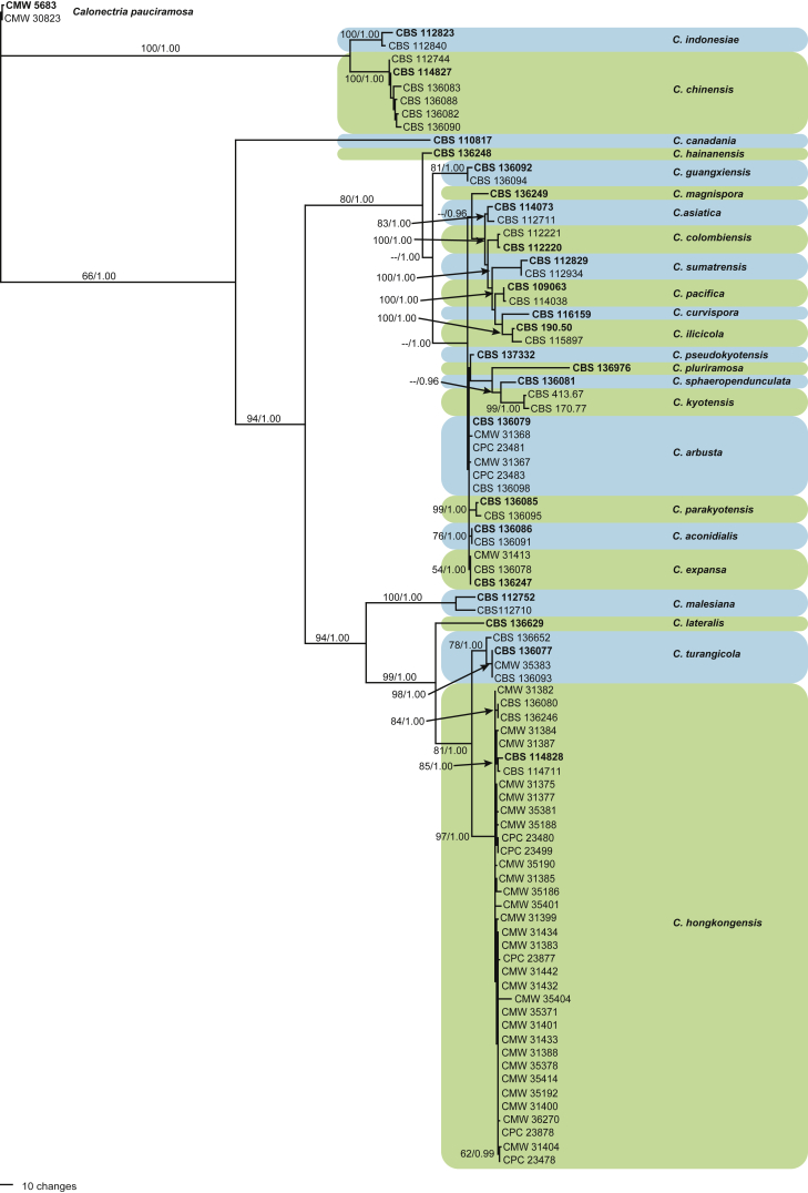 Fig. 2