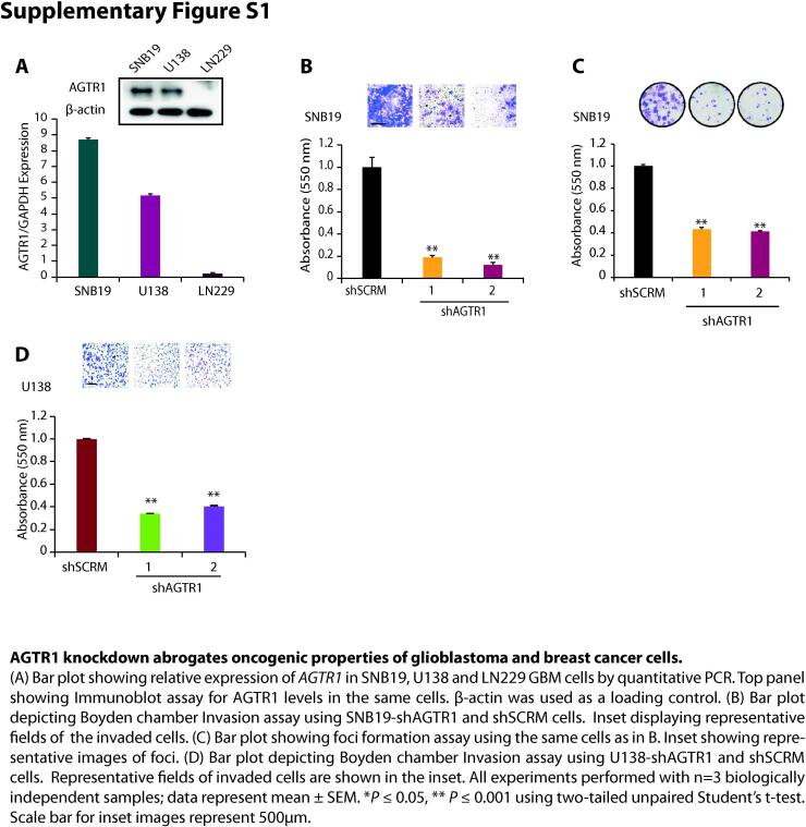 Supplementary figure 1