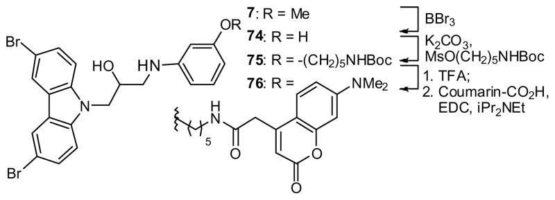 Scheme 6